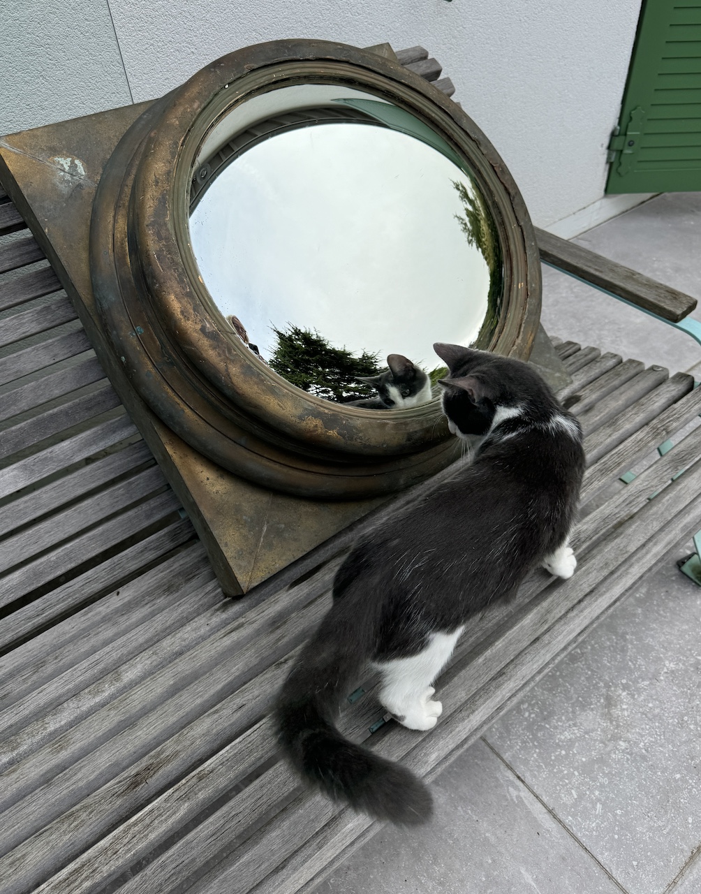 Grand Miroir Sorcière en Bois et Cuivre Provenant d'un Théâtre Anglais